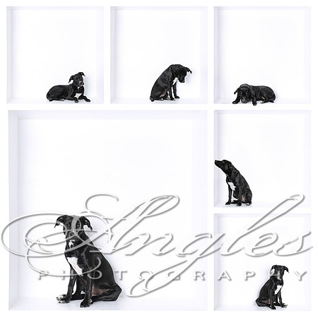Facebook Header 3 Boxes